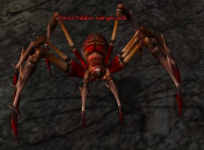 Vörös halálos mérges pók.png