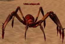 Vörös mérges pók.PNG