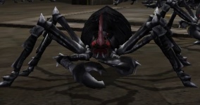 Gonosz Fekete mérges pók.jpg